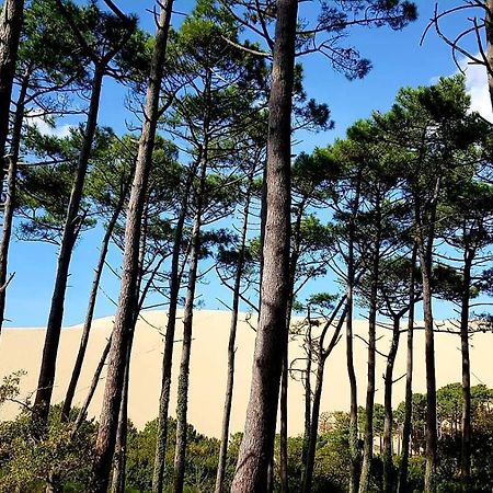 Maisonnette Bois Flottes Salles  Dış mekan fotoğraf